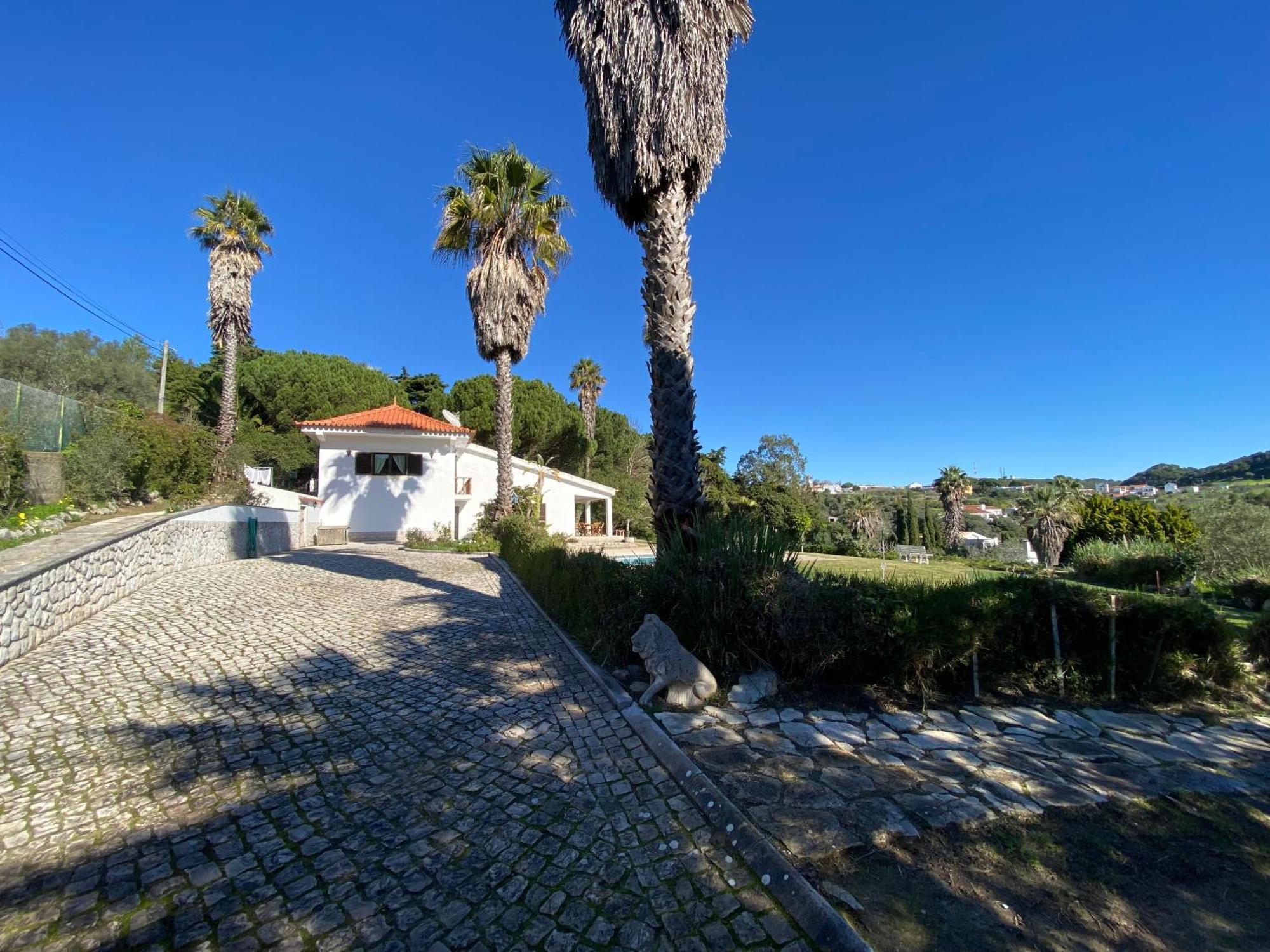 Casa Calidris - Bed, Wine & Breakfast Otel Sesimbra Dış mekan fotoğraf